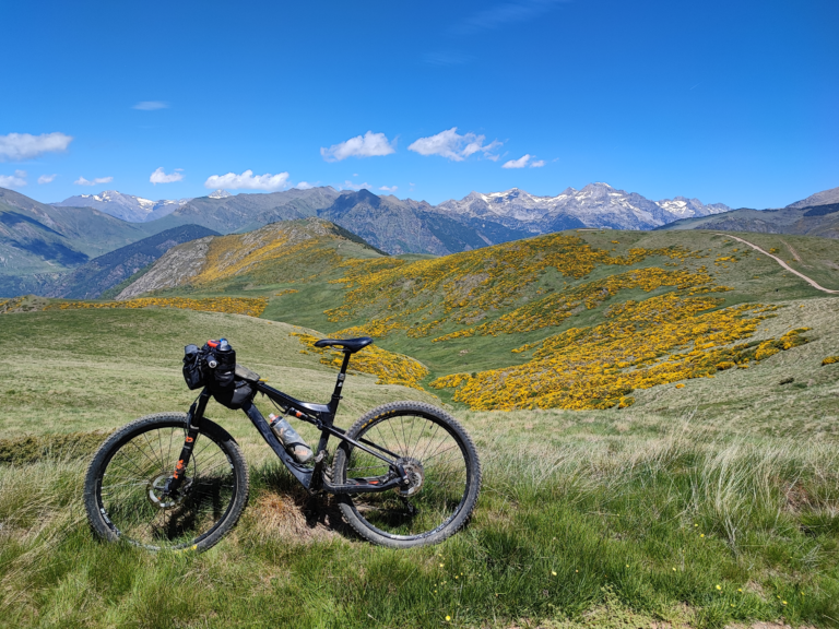 Publicació a Cossetània