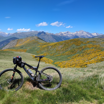 Publicació a Cossetània